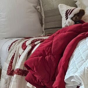 Luxurious Red Comforter Super Soft & Lofty